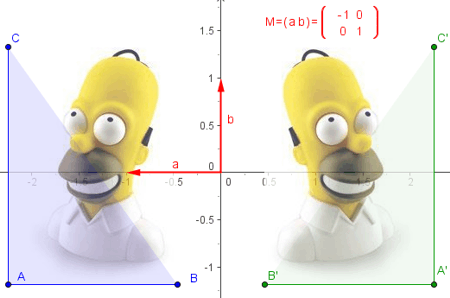 Construccin: Vectores y matrices