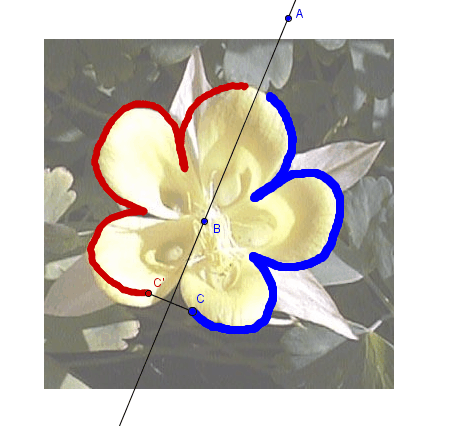 Construccin: Simetra axial